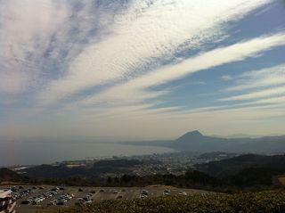 IMG_2828.jpg