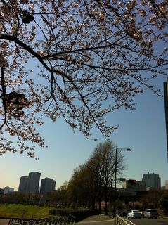 IMG_2872.jpg