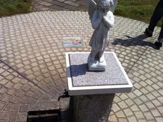 IMG_2922.jpg