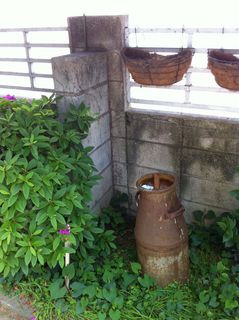 IMG_3044.jpg