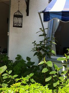 IMG_3045.jpg